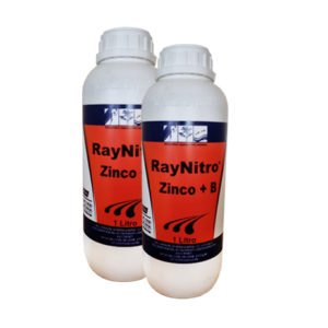 RayNitro Zinco + B